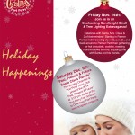 discover port perry christmas poster